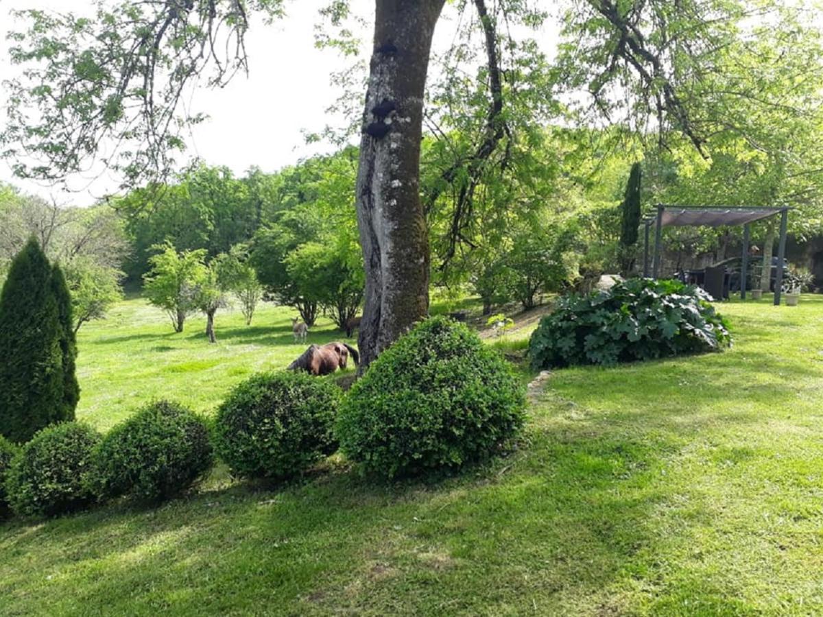 Domaine De La Piale Acomodação com café da manhã Fons  Exterior foto